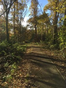 Physiotherapy Clinic Godalming