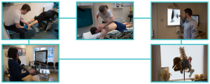 Physiotherapist Godalming