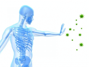 Physiotherapist Farncombe