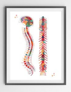 Physio Guildford
