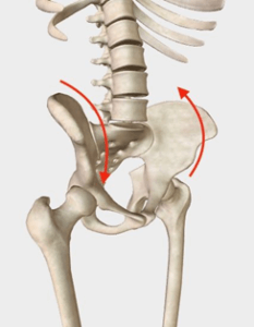 Chiropractor Godalming